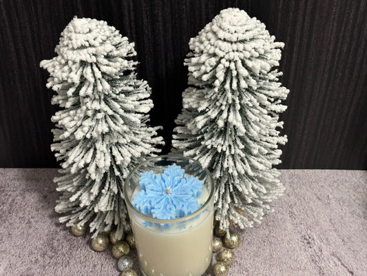 Winter Wonderland (vanilla eggnog) Scented Glass Candle 7.3oz